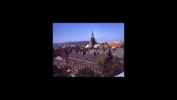 Pražské porodnice v březnu zkolabují, varují lékaři - obrázek