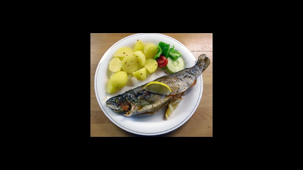 PEČENÝ PSTRUH - obrázek