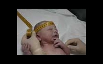 Prohlídka novorozence - obrázek